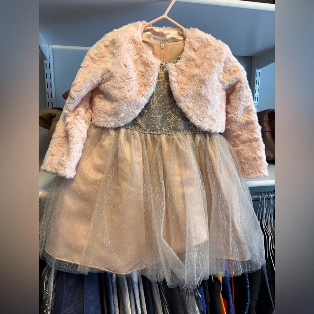 Iris & Ivy Gold and Pink Brocade Dress - Picture 1 of 4